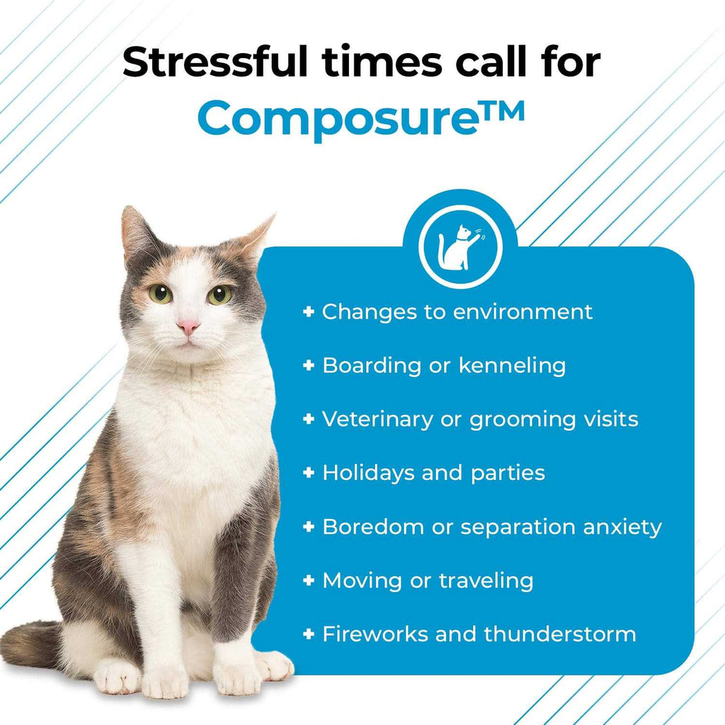 Cat Calming Supplement Pet Supplies k7m