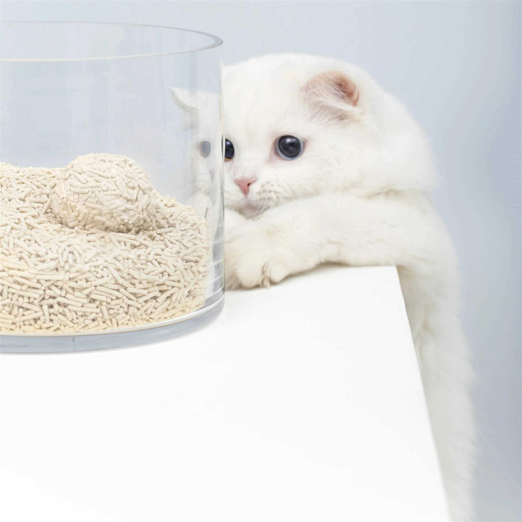 Tofu Cat Litter, Clumping, 5.5lb a7