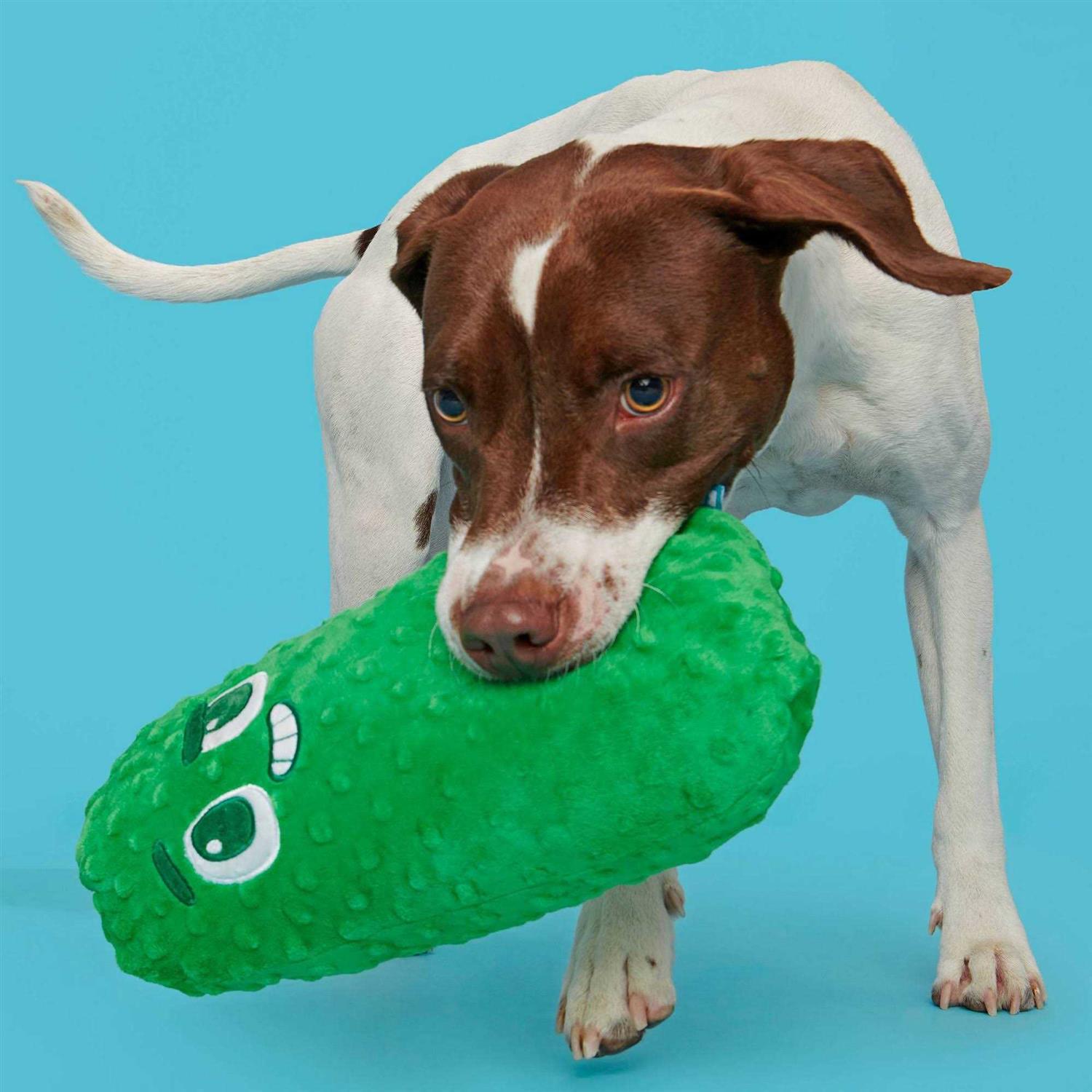 Dog Toy Dill Pickle Shape a7