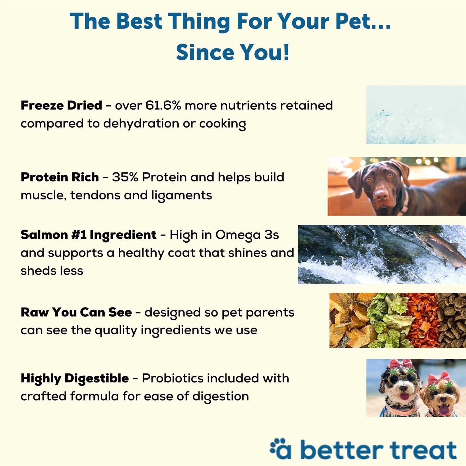 Salmon Raw Dog Food k7