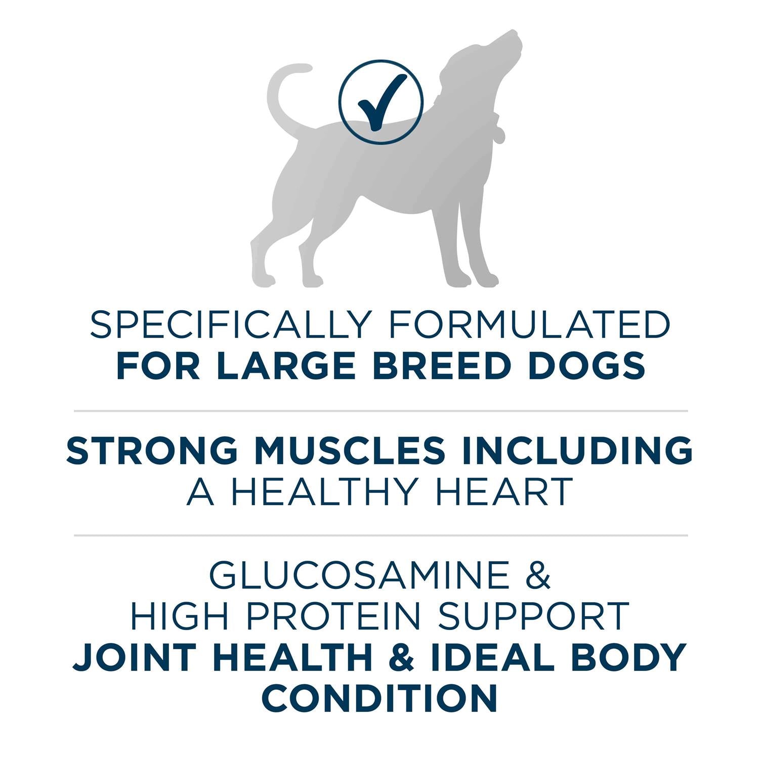 Large Breed Adult Dry Dog Food k7m
