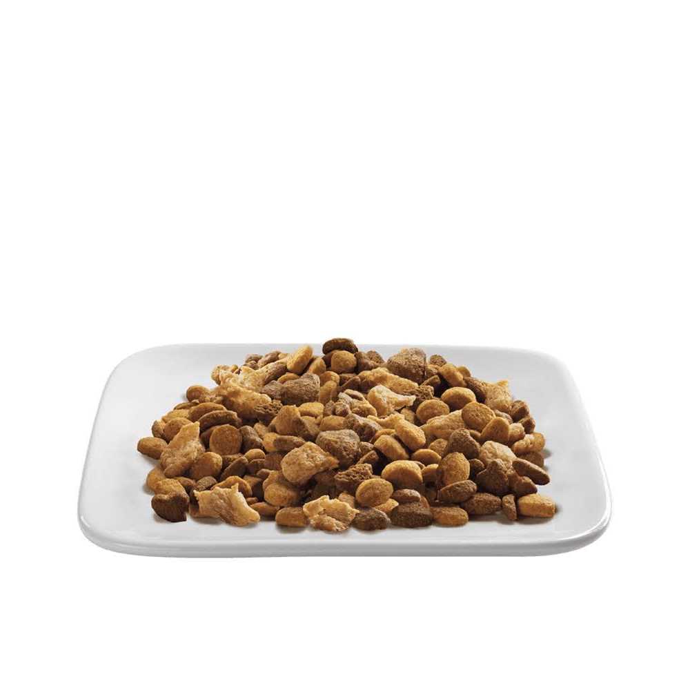 Cat Food Turkey Rice Formula Dry Indoor Hairball Control k7m