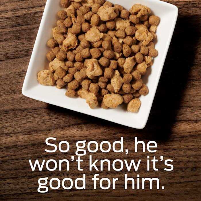 Overweight Management Dry Dog Food k7m
