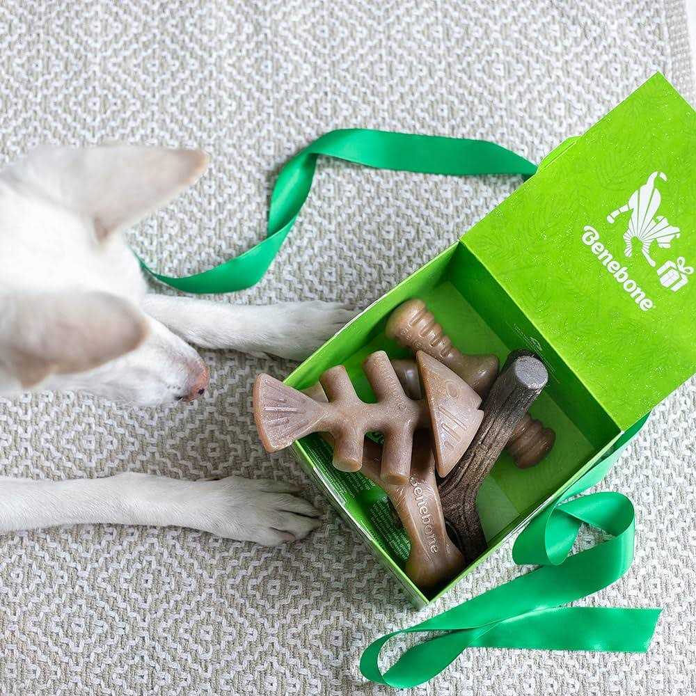 Dog Chew Toy 4 Pack Holiday a7