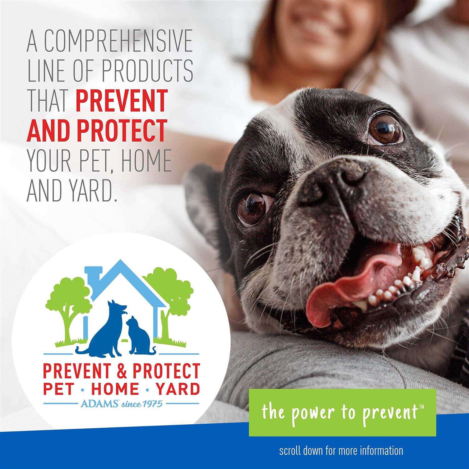 Flea Tick Shampoo for Dogs Cats k7m