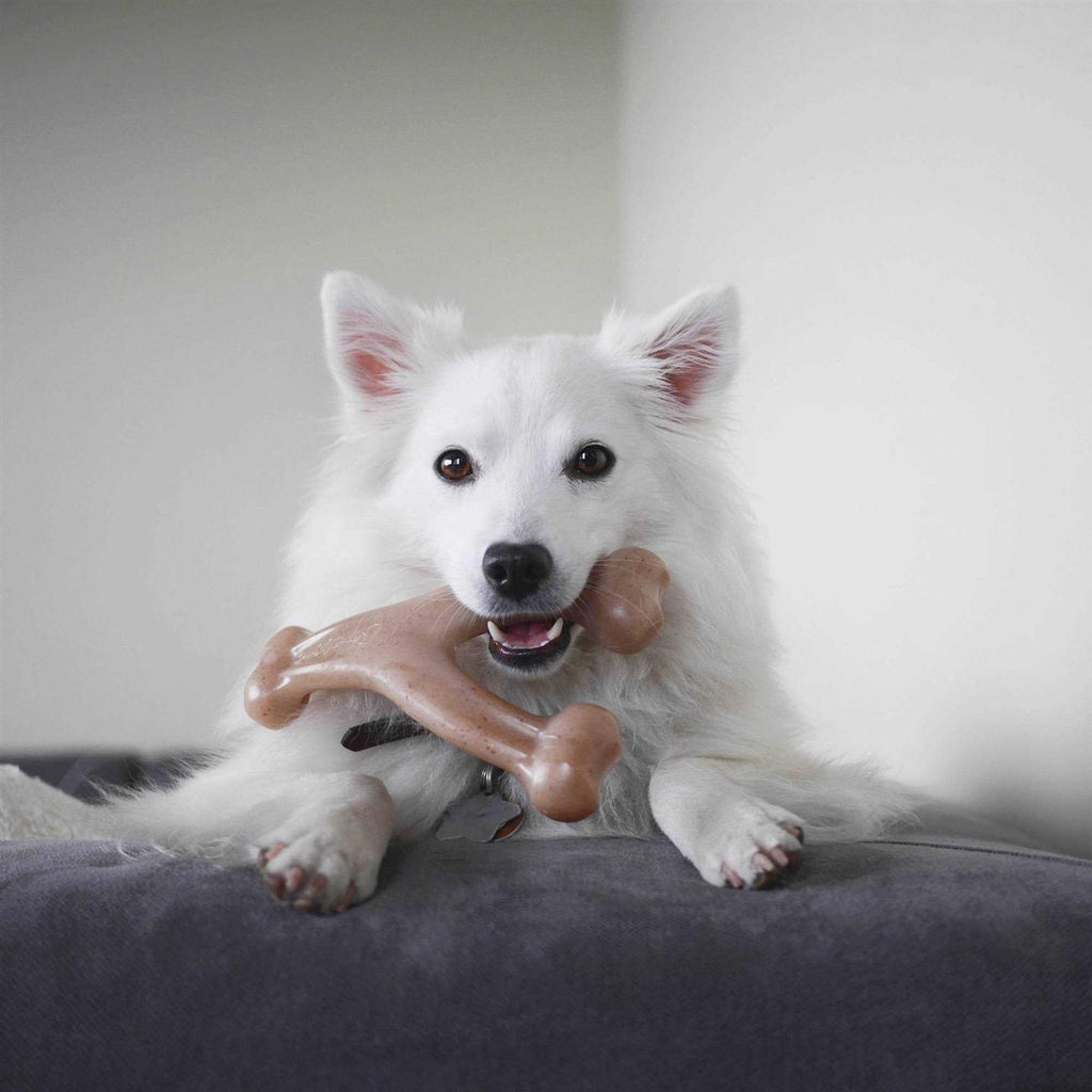 Dog Chew Toy Wishbone a7