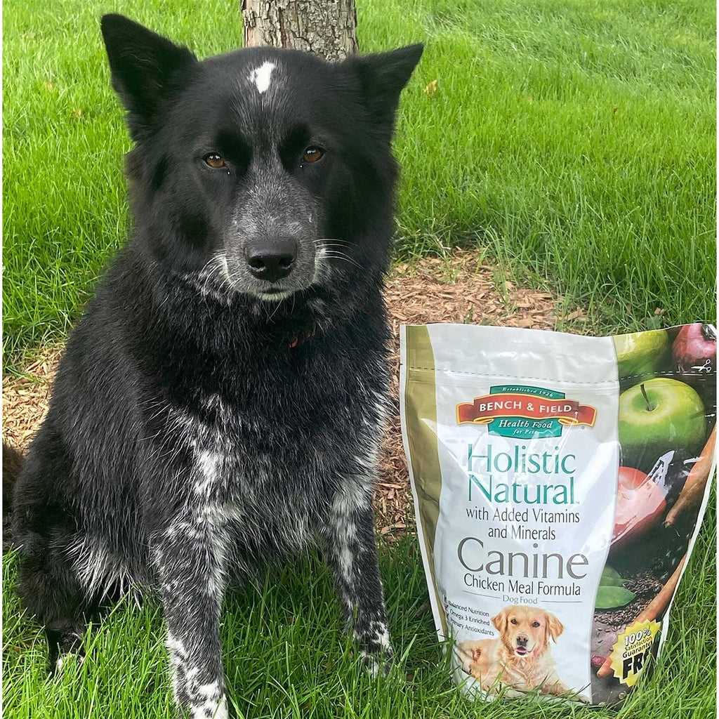 Holistic Natural Adult Dry Dog Food Chicken Brown Rice 6.6 lb k7