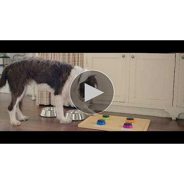Dry Dog Food Chicken & Veggies Recipe k7m