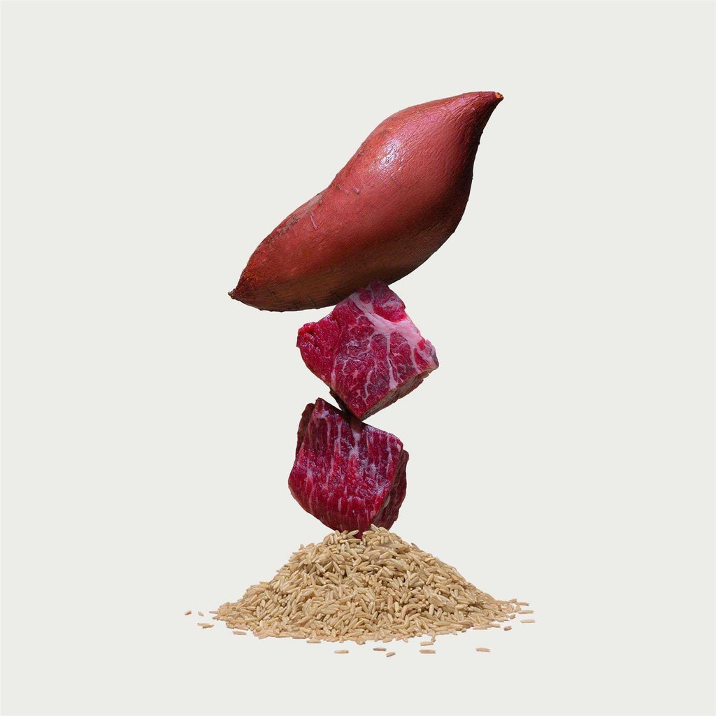 Beef Brown Rice Sweet Potato Dry Dog Food k7m