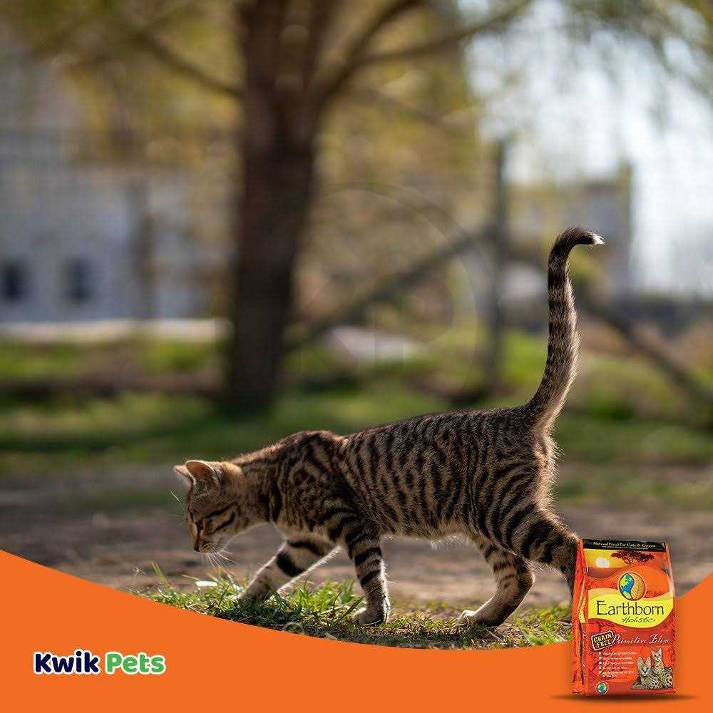Dry Cat Food for Adult Cats 7k3