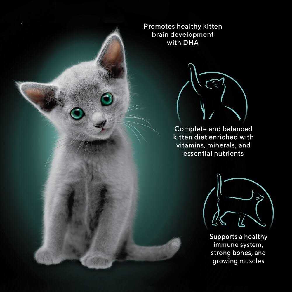 Kitten Food Pate a7k