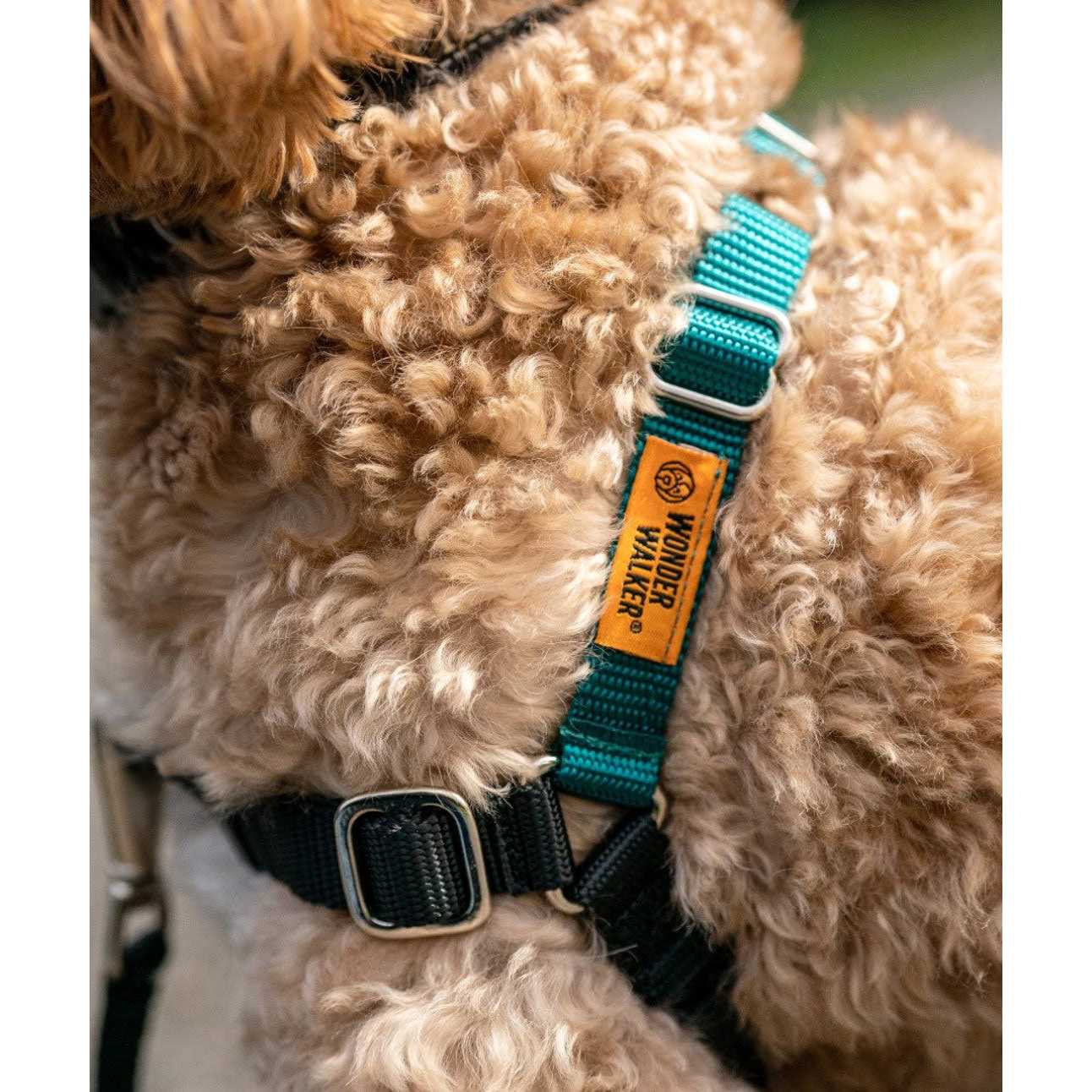 Dog Harness for Walking Training k7