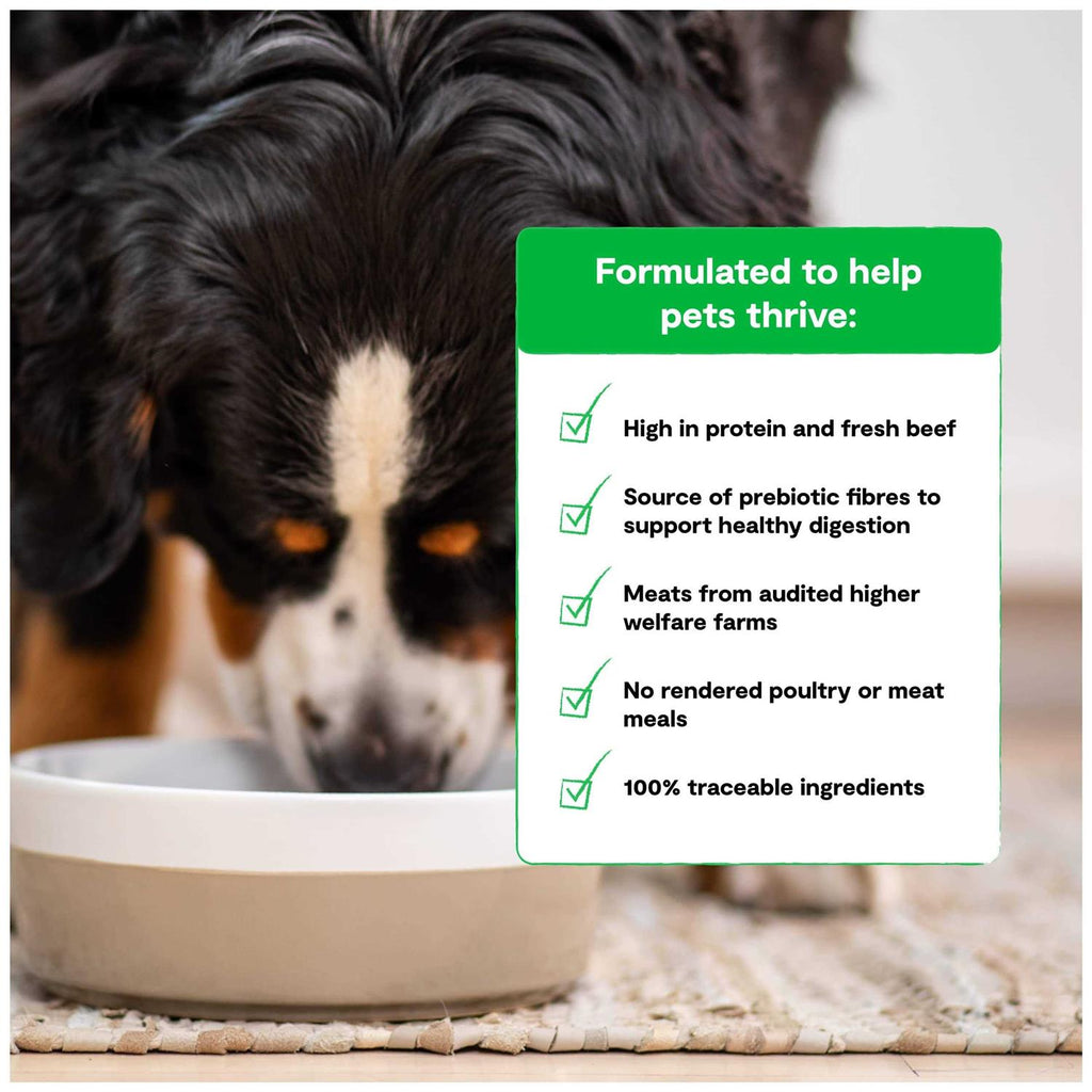 Grass Fed Beef Grain Free Dry Dog Food a7