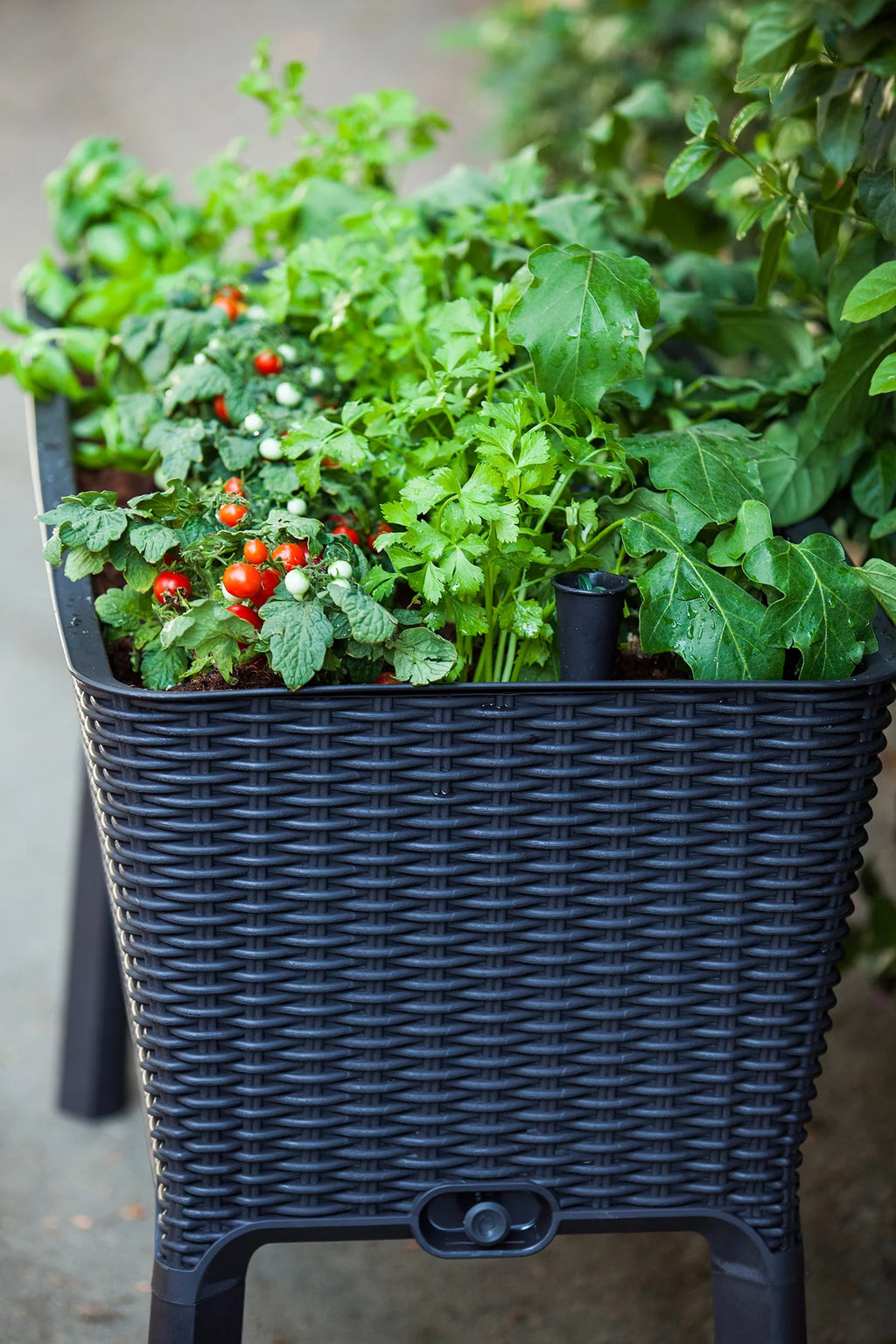 Elevated Garden Bed Anthracite a7