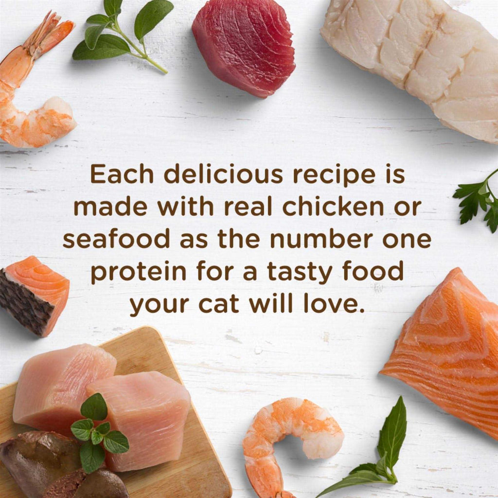 Chicken Purrcata Natural Grain-Free Wet Cat Food a7