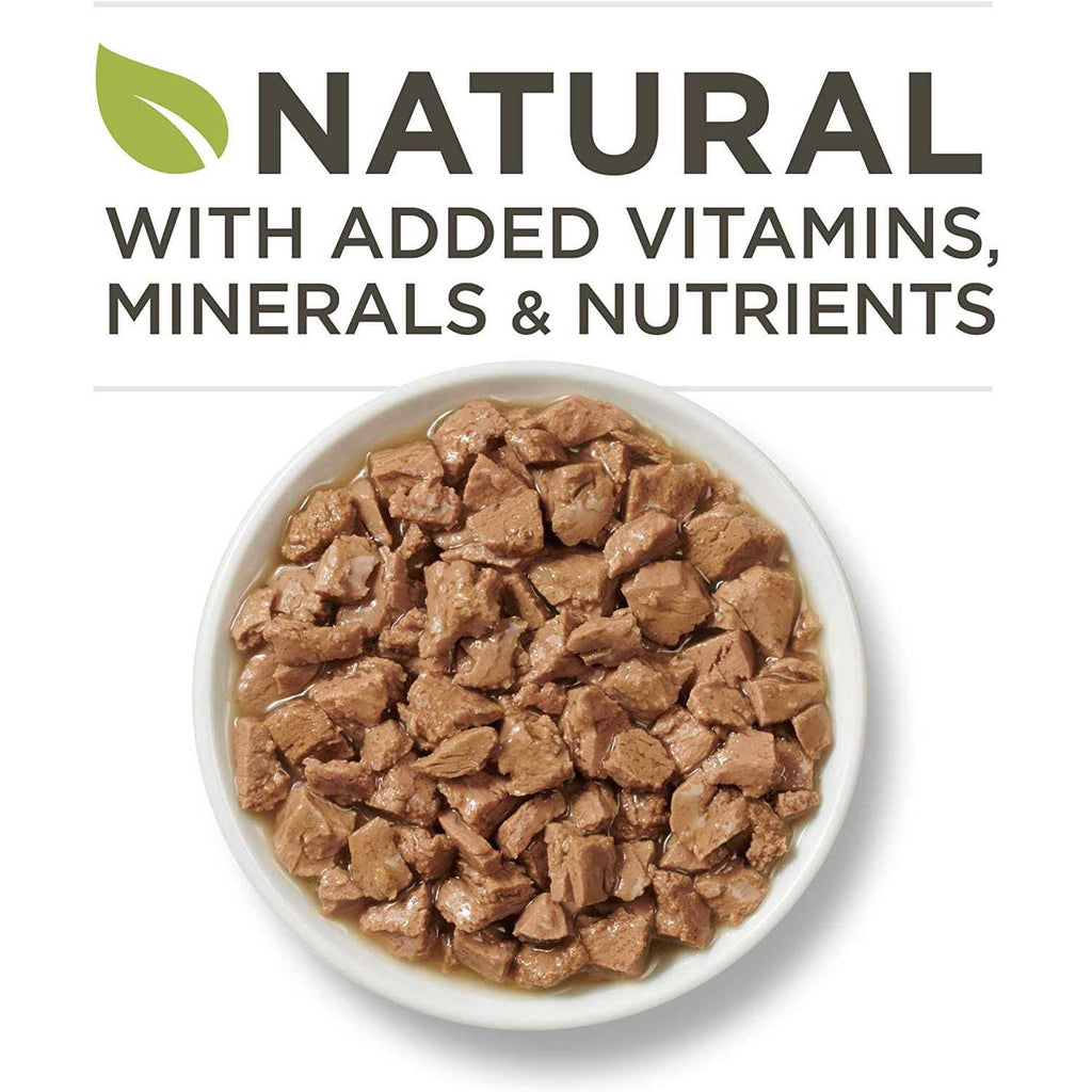 Cat Food Natural Recipe T7