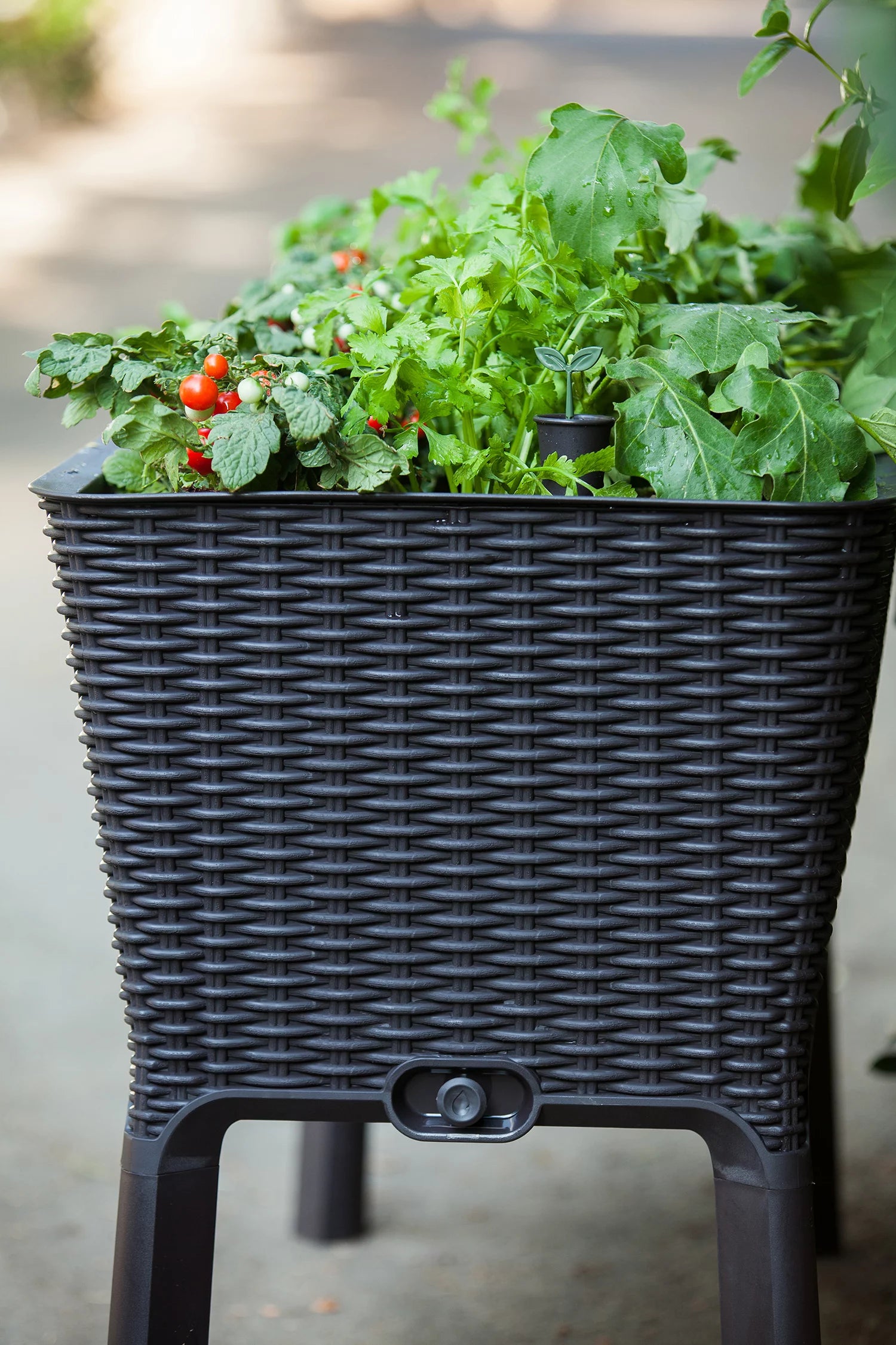 Elevated Garden Bed Anthracite a7