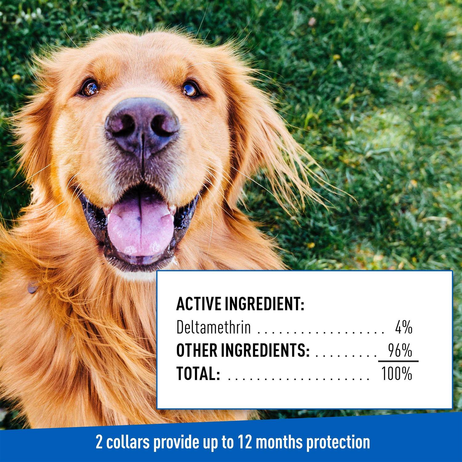 Flea Tick Collar for Dogs Puppies k7m