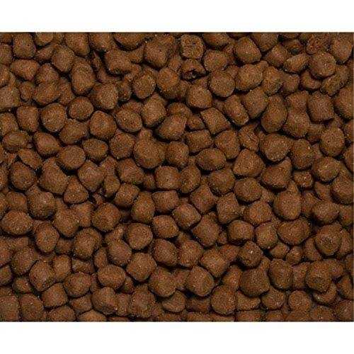 Dry Dog and Cat Food Formula A7