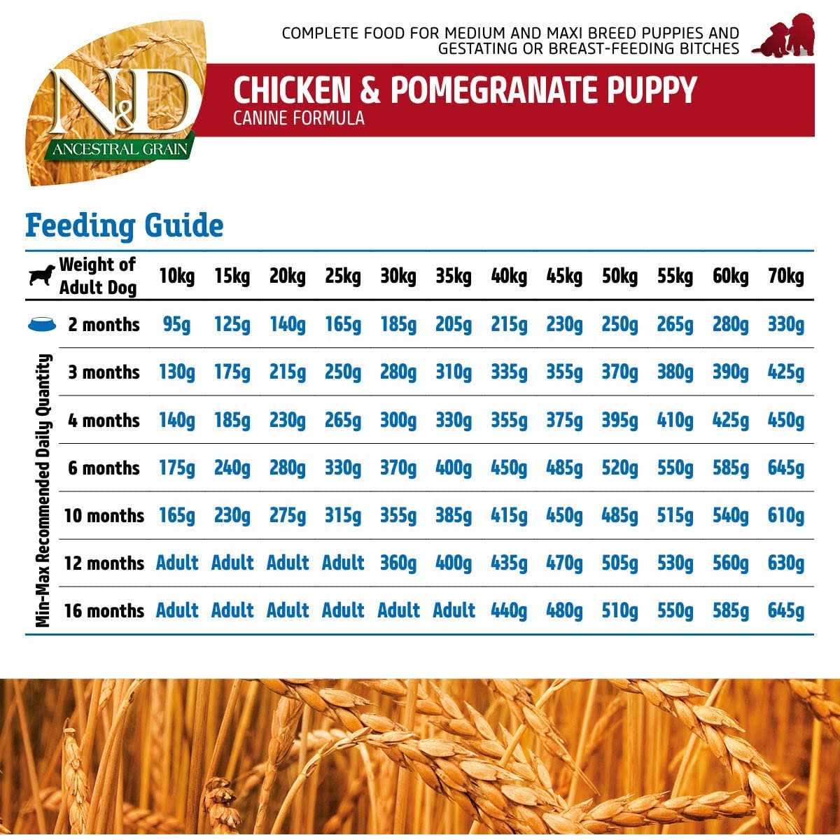 Chicken & Pomegranate Dry Dog Food k7m