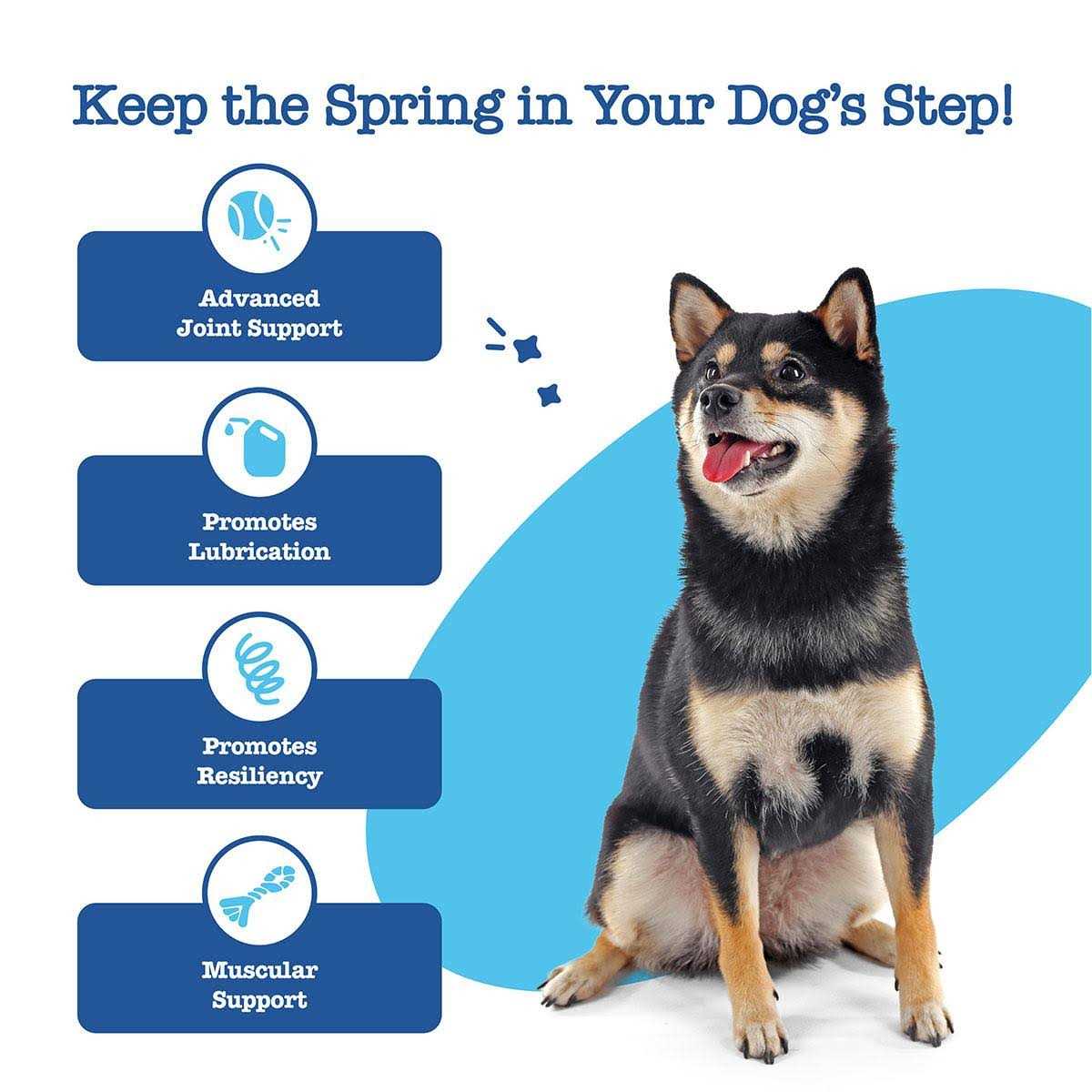 Hip Joint Mobility Bites for Senior Dogs a7