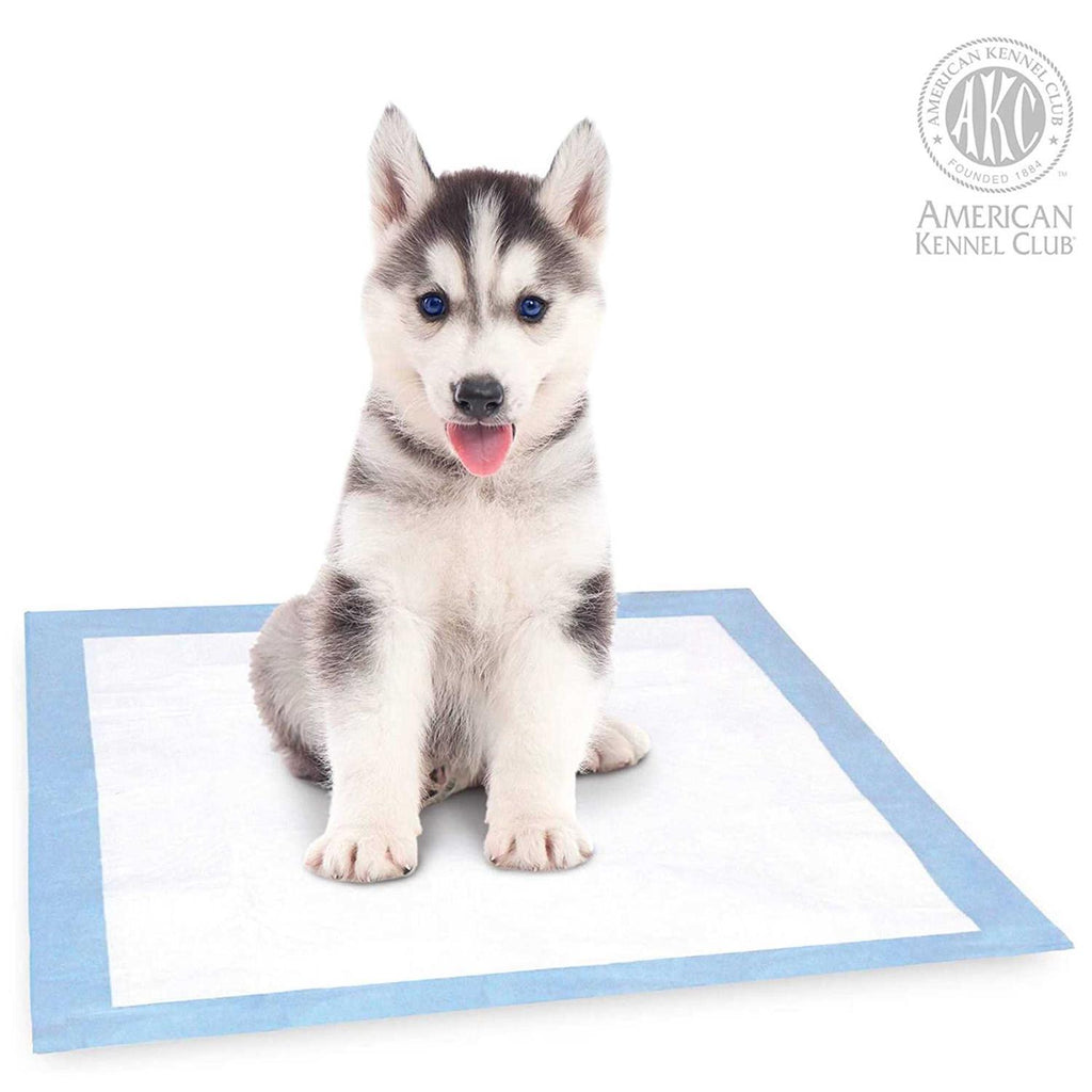 Dog Training Pads for Pets q7k