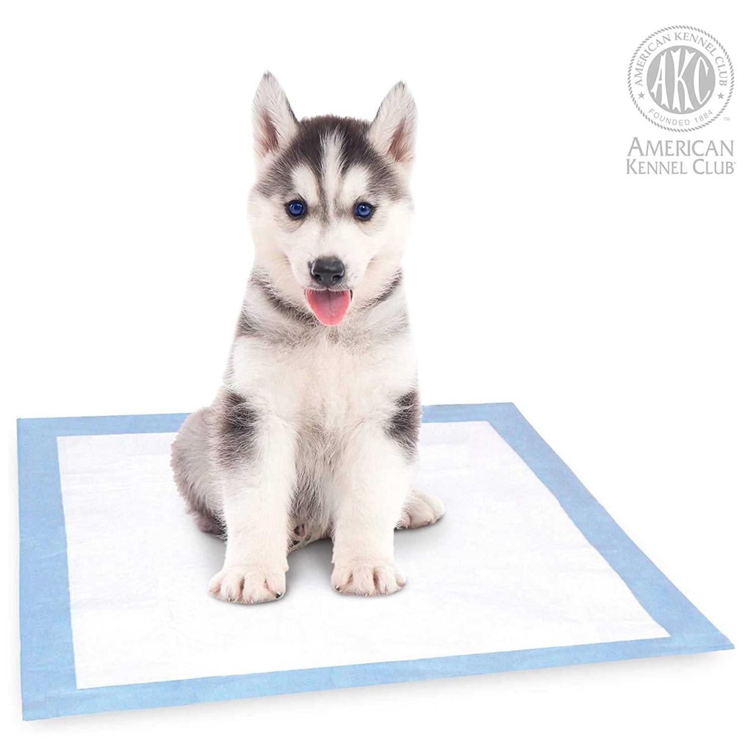 Dog Training Pads for Pets q7k