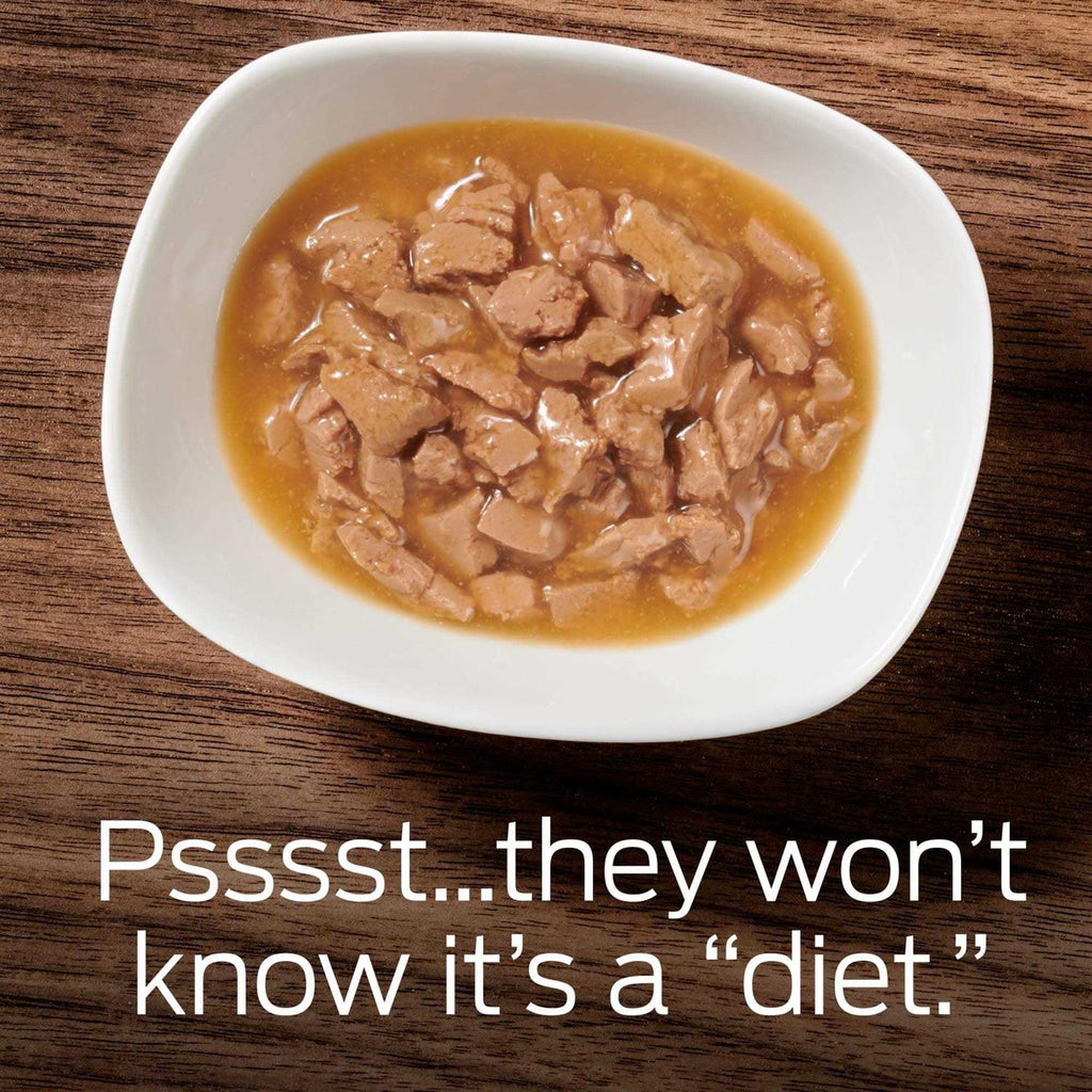 Wet Cat Food with Salmon for Weight Management a7