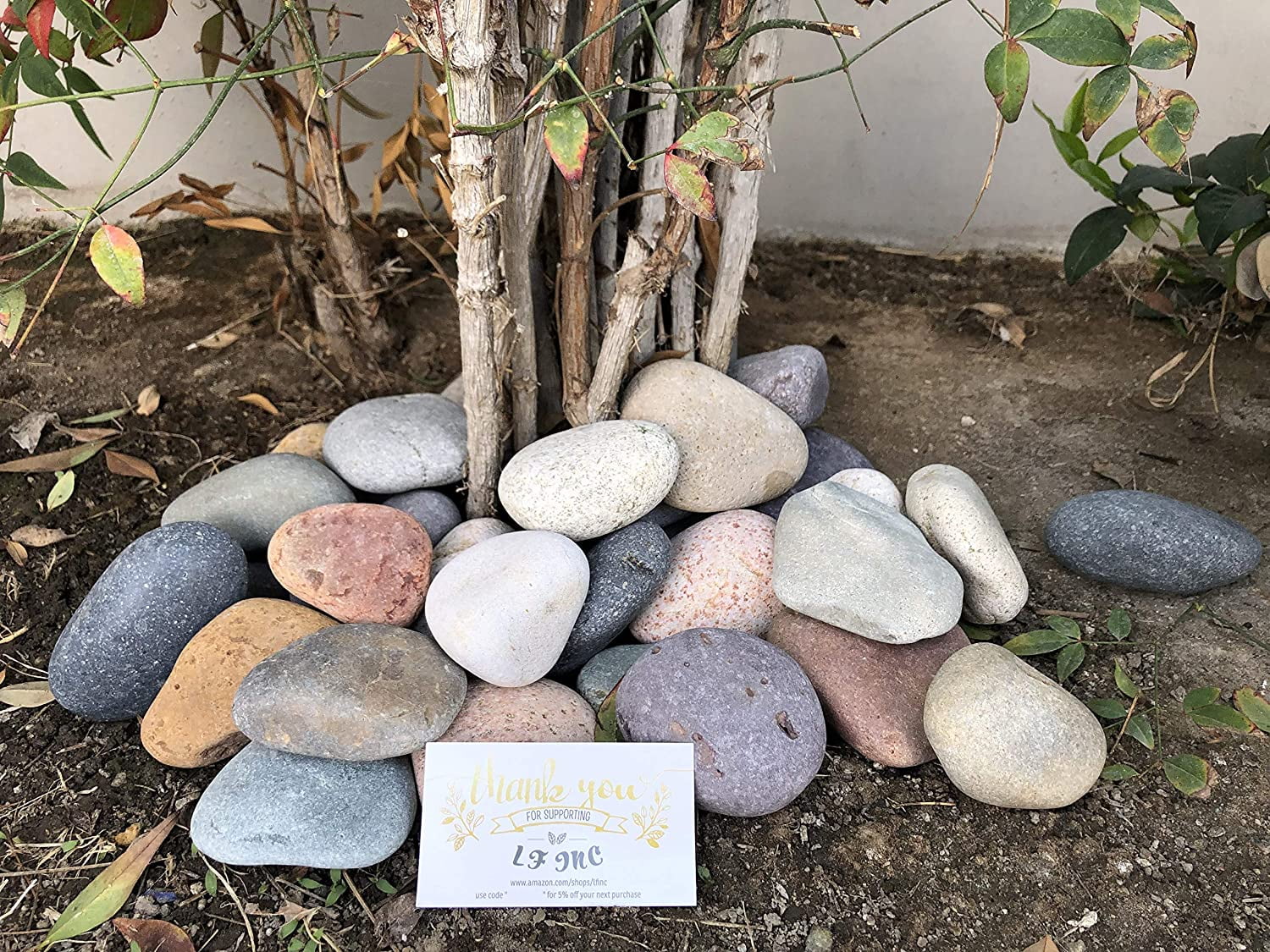 Large Mixed Mexican Stone Beach Pebbles 3-5 inches for Garden Landscape k7