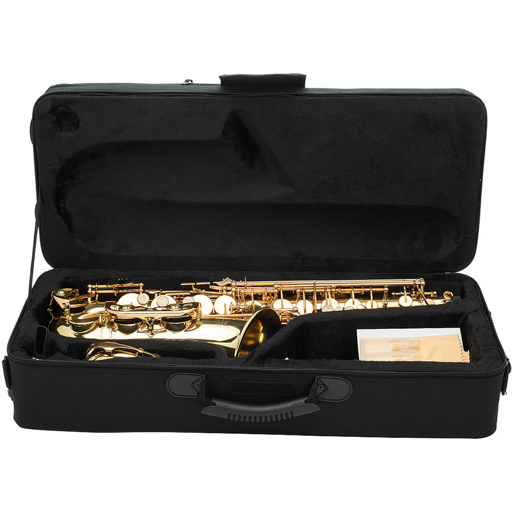 Alto Saxophone with Case k7