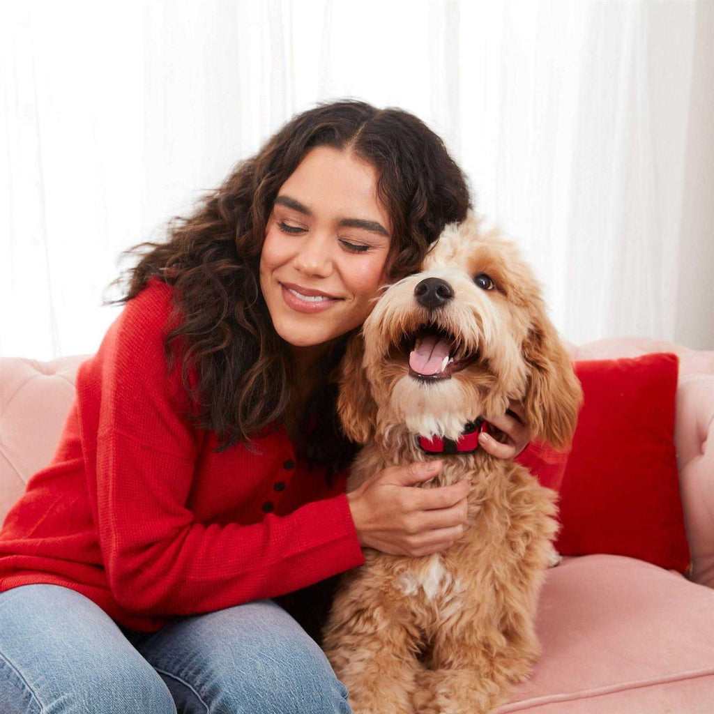 Soft Chewy Dog Treats Tender Hearts k7p