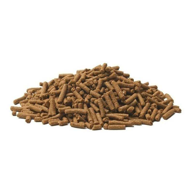 Dog Food for Sensitive Stomachs k7p