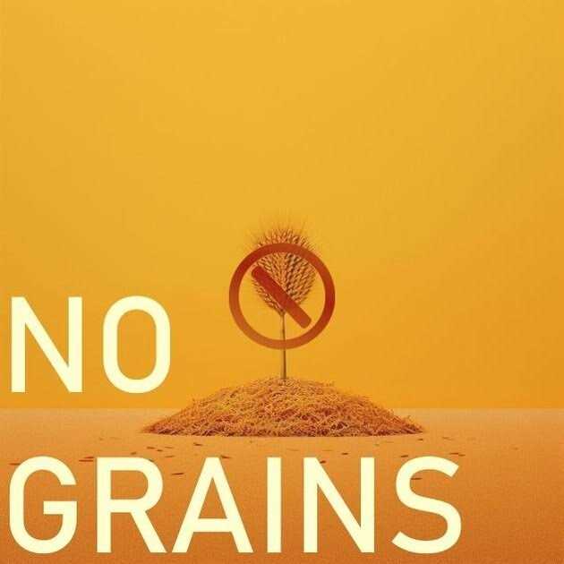 Freeze Dried Chicken Treats for Cats a7