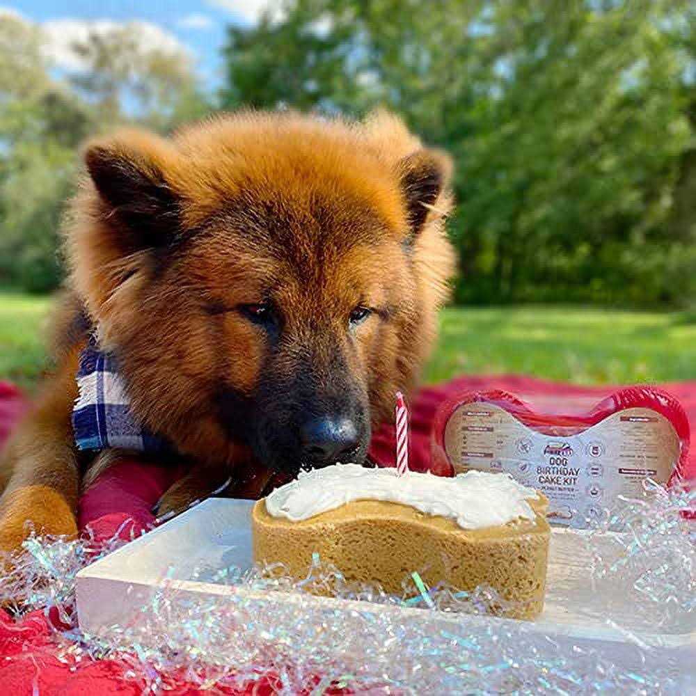 Dog Birthday Cake Kit a7k
