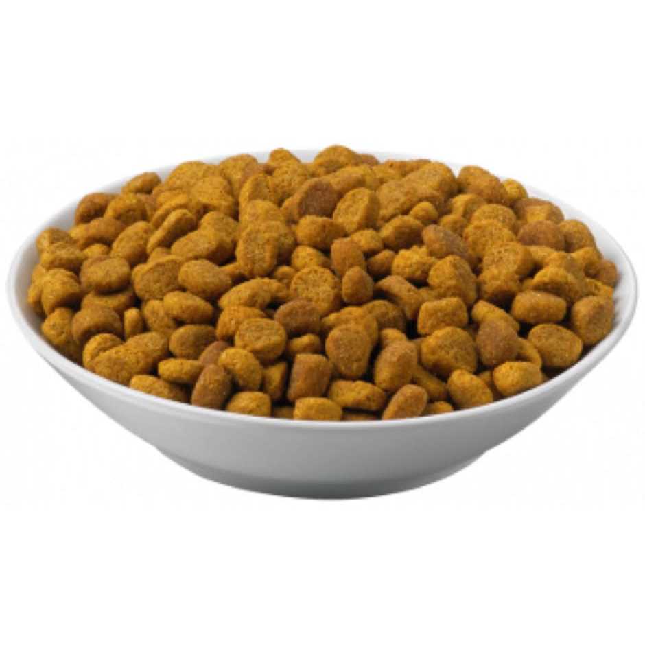 Dry Cat Food for Weight Management 7k