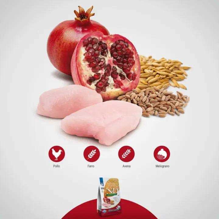 Chicken & Pomegranate Adult Dry Dog Food 26.5 lb k7