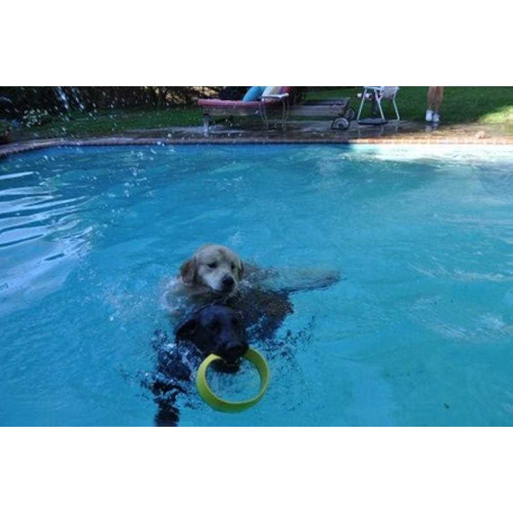 Dog Ring Launcher Starter Pack a7
