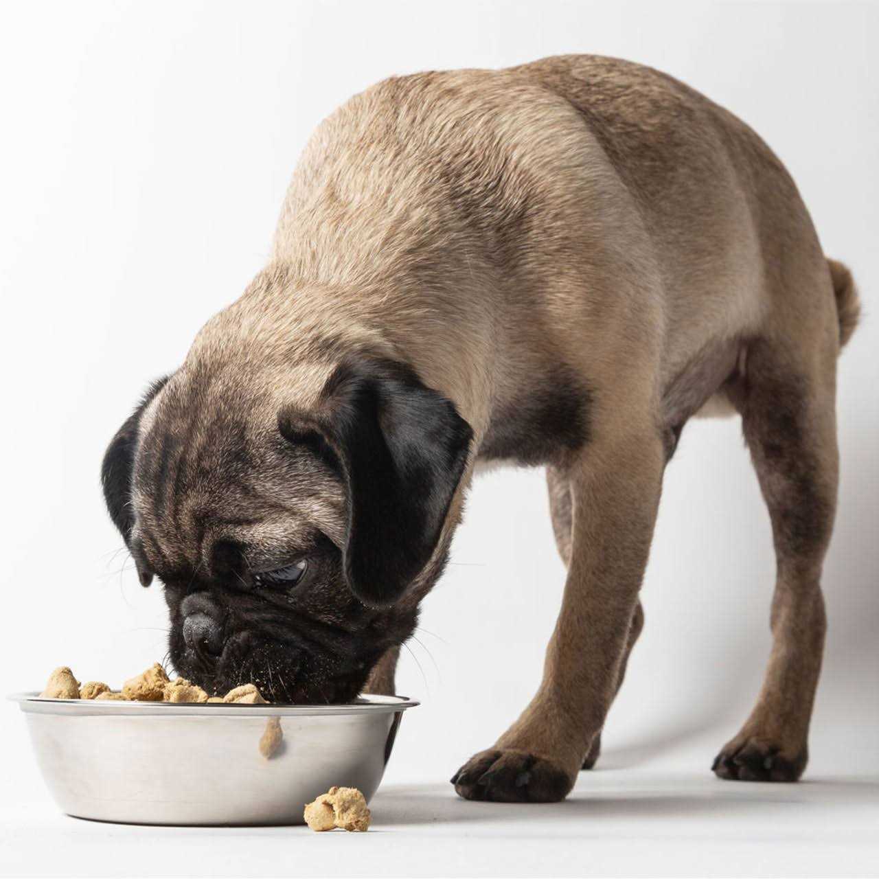 Freeze Dried Dog Food Sensitivity Select k7