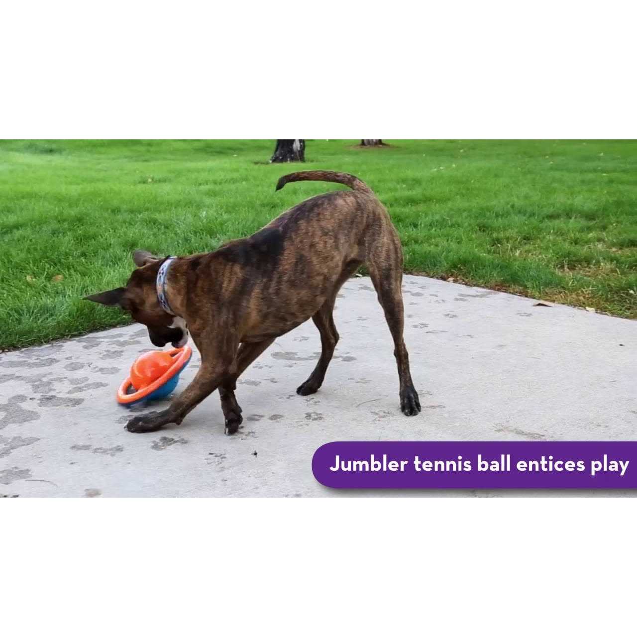 Dog Toy Disc k7