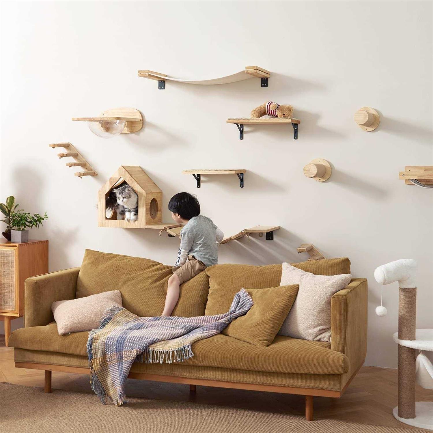 Cat Wall Furniture Set Transparent Capsule Shelves with Pedals k7m