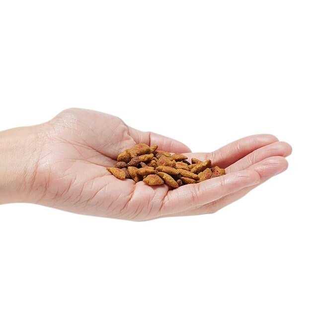 Dry Cat Food for Hairball Control k7m