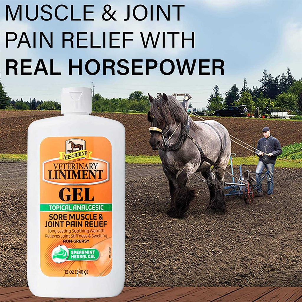 Veterinary Liniment Gel for Pets a7
