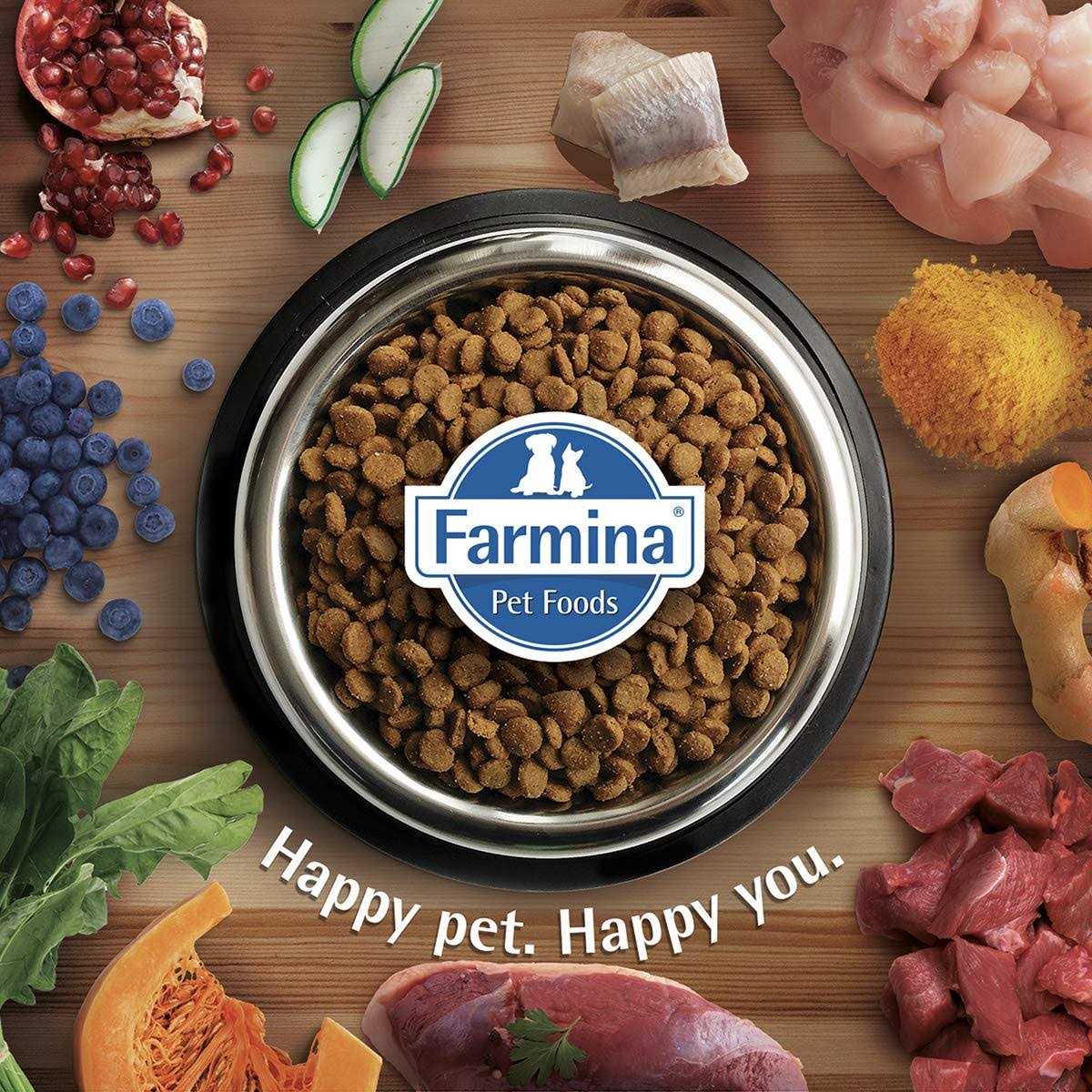 Chicken & Pomegranate Dry Dog Food for Adult Dogs k7m