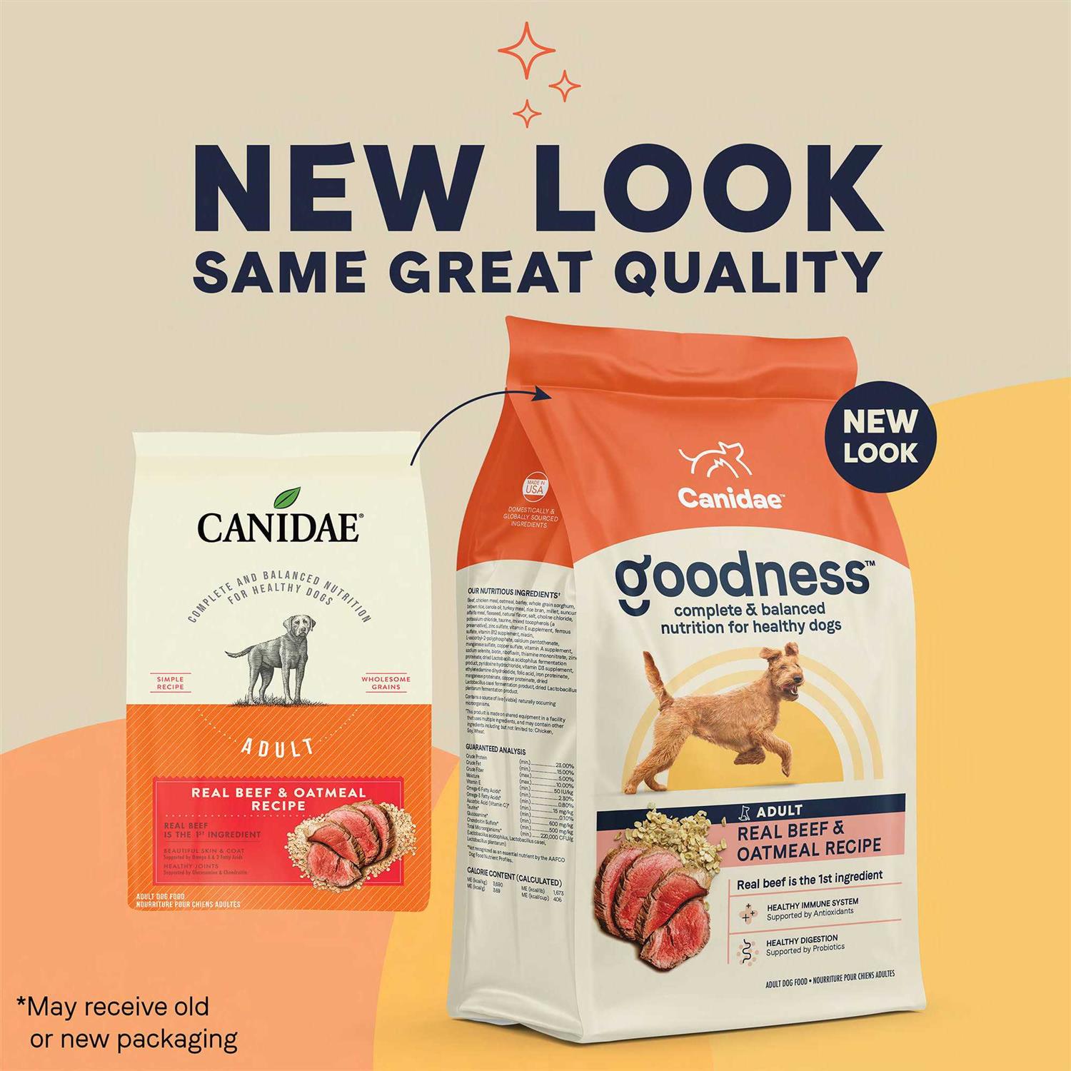 Dry Dog Food Beef and Oatmeal k7p