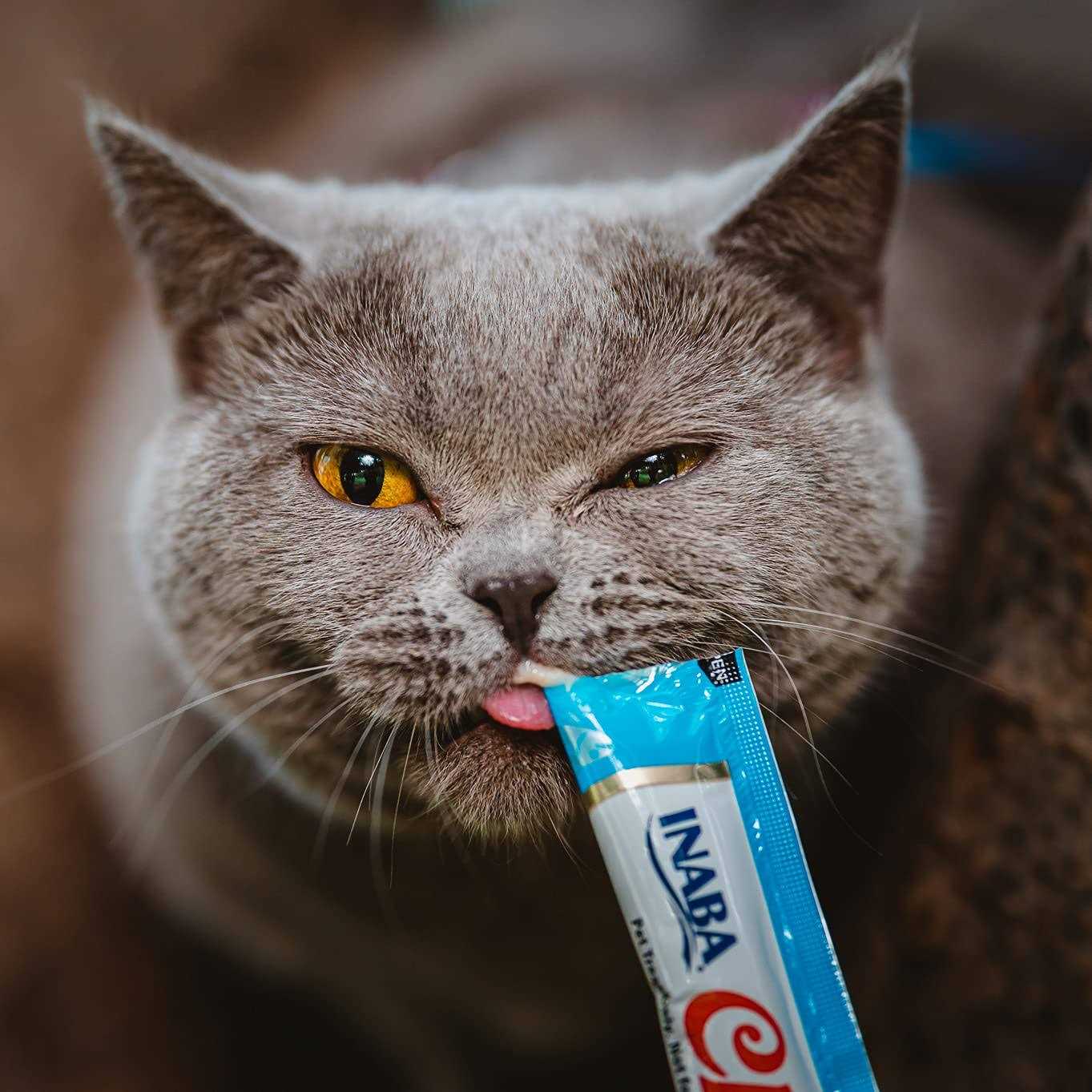 Tuna and Chicken Cat Treats k7m
