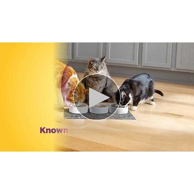 Dry Cat Food for Hairball Control k7p