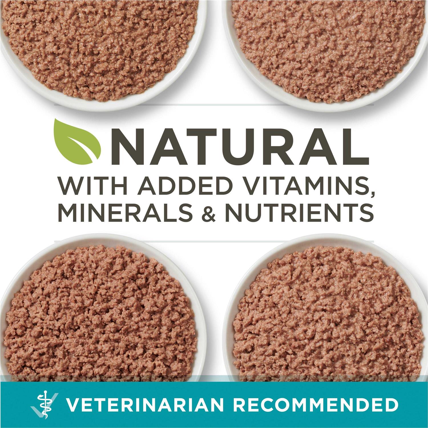 Cat Food Variety Pack Pate Wet Grain Free k7