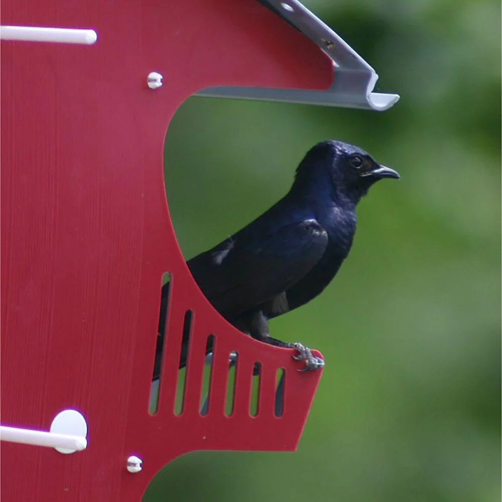 Purple Martin Barn Bird House for 16 Families k7p