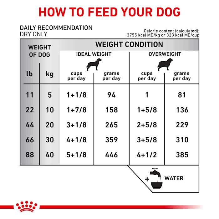 Dry Dog Food for Sensitive Digestion k7m