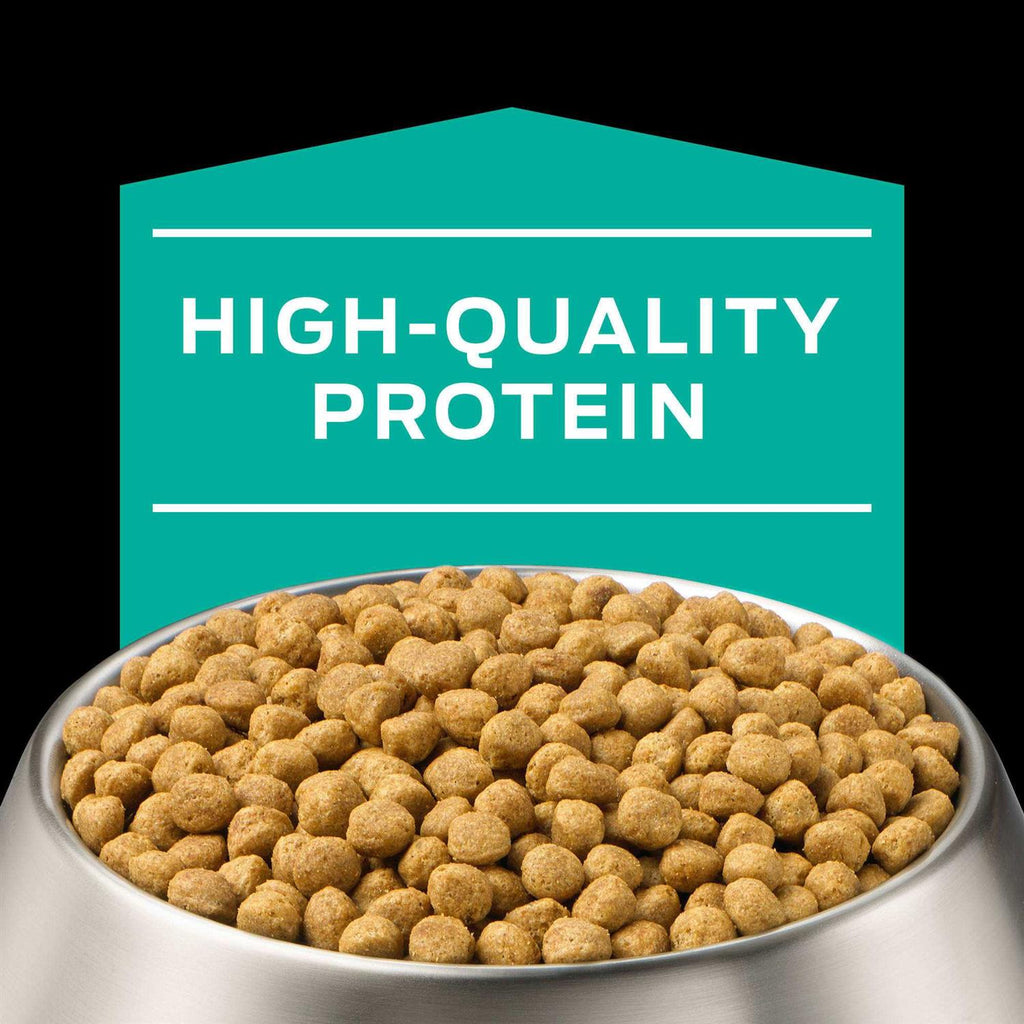 Dry Dog Food for Sensitive Stomach k7m